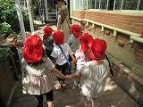 IMG_7089