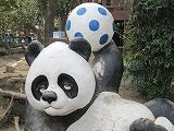 IMG_7047