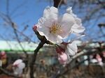 IMG_4747