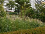 DSCN3365