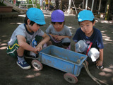 DSCN3652