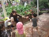 IMG_4967