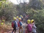 IMG_3239