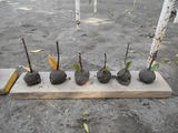 DSCN1148
