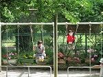 IMG_0569