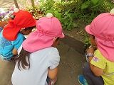 IMG_9164
