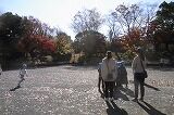 RIMG0004