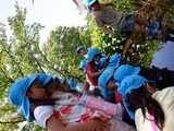 DSCF2212