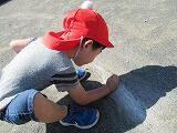 IMG_7116