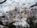 P1330820