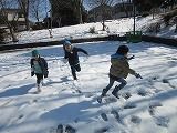 IMG_4550