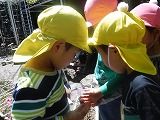 DSCF9086