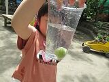 IMG_5846