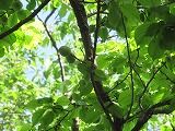 IMG_5298