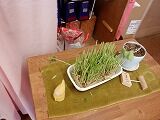 DSCF0216