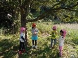 DSCN0814