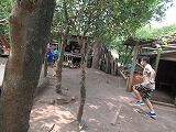 IMG_6045