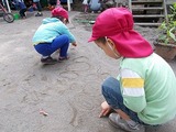 DSCN0788