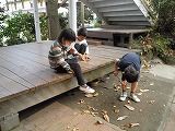 DSCN3174