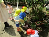 IMG_3453s
