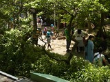 RIMG0924