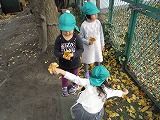DSCN3176