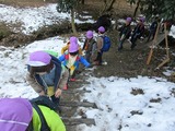 IMG_2142