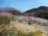 DSCN0407