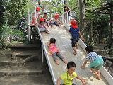 IMG_0585
