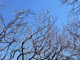 DSCN1048