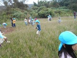 DSCN5663