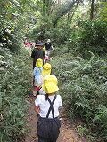 IMG_7408