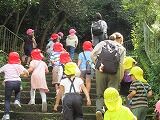 IMG_7395
