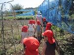 IMG_0230