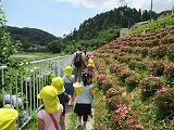 IMG_5988