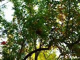 P1070889