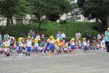 IMG_1326