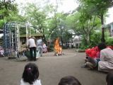 IMG_0961