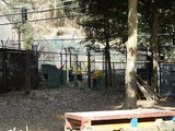 DSCN1336
