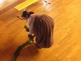 IMG_0090