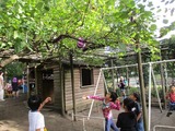 IMG_4293