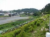 DSCN8373