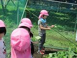 IMG_6447