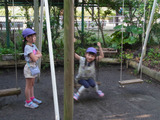 RIMG0113
