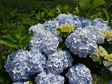 DSCN8375