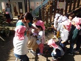 DSCN5416