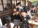 IMG_1517