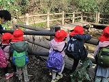 IMG_2164