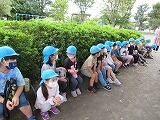 IMG_6989