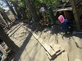 IMG_4719